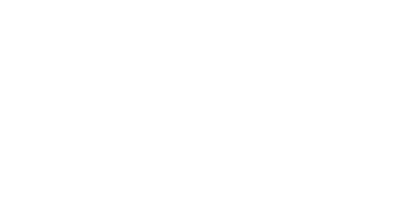 네이버페이 logo